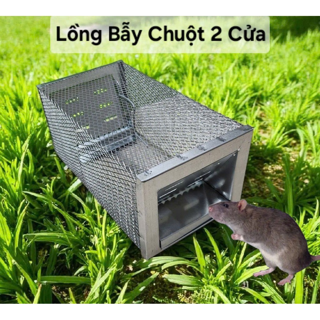 Lồng bẫy chuột 2 cửa cải tiến - Bẫy chuột chắc chắn ngăn không cho chuột thoát