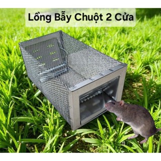 Lồng bẫy chuột 2 cửa cải tiến - Bẫy chuột chắc chắn ngăn không cho chuột thoát