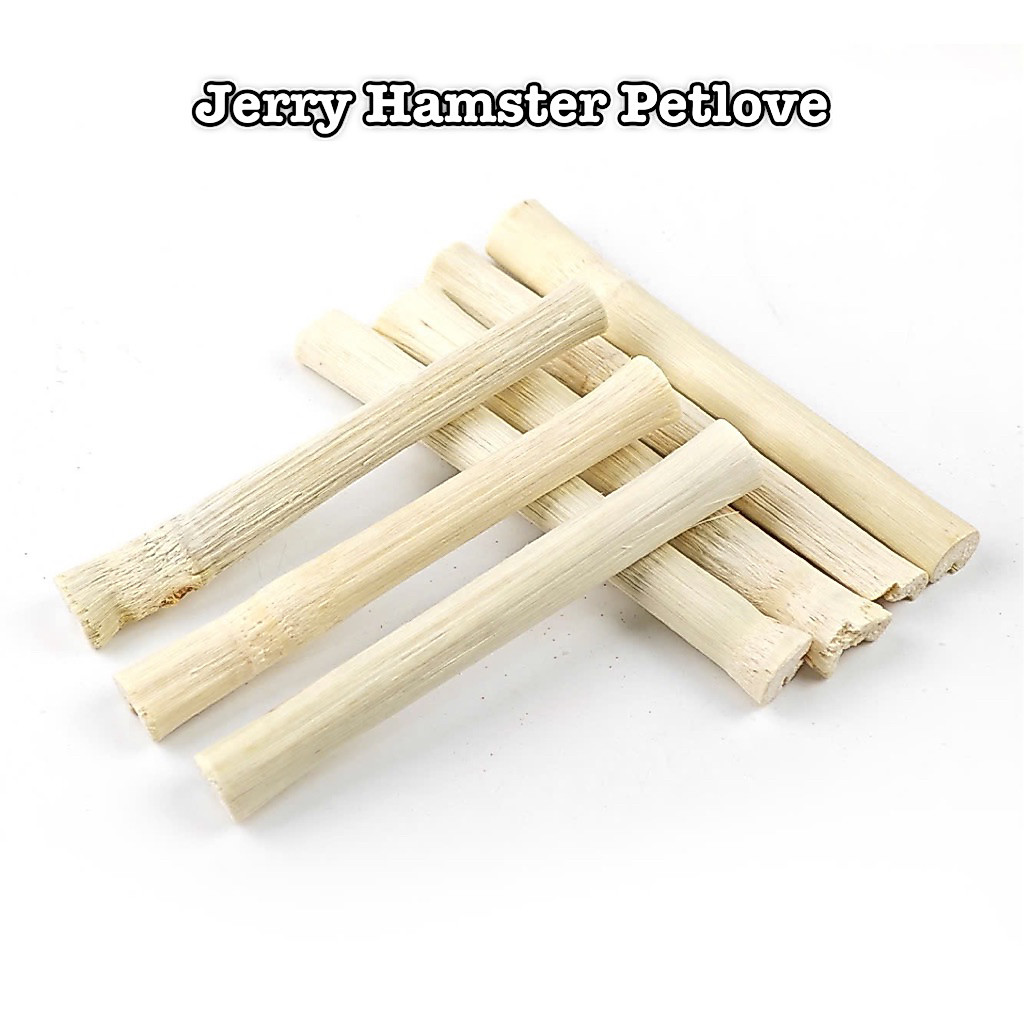 Tre ngọt mài răng cho Hamster/thỏ/chuột lang