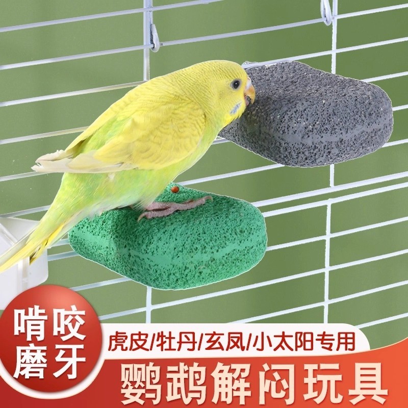 Đồ chơi vẹt Budskin để giảm bớt sự nhàm chán và nibble đặc biệt zhehd852.my20260627