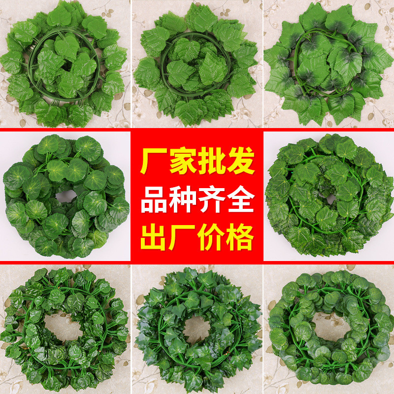 Mô Phỏng Lá Nho Nho Nho Trang Trí Lá Xanh Mây Nho Mô Phỏng Cây Lá Mây Xanh Cây UXDJ