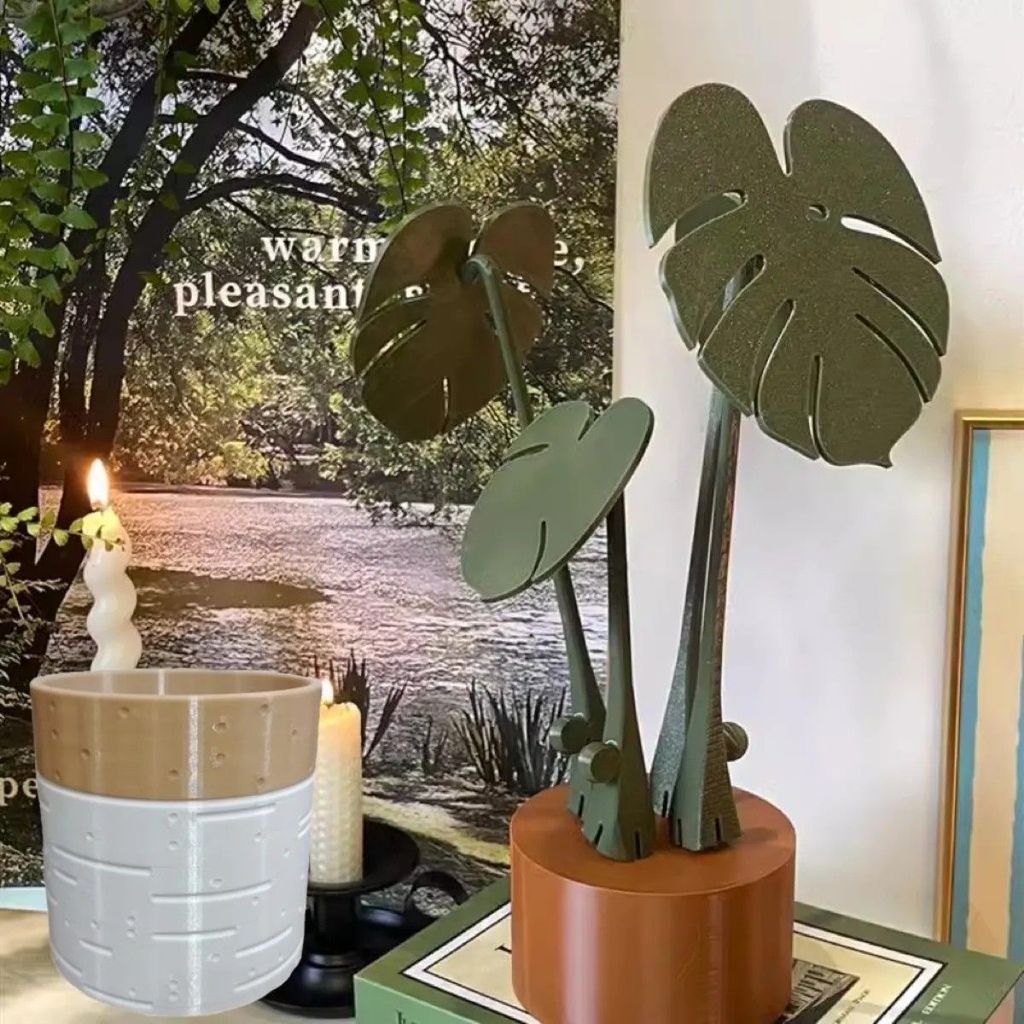 Monstera Coaster Plants Monstera Coaster Plants Coaster Coaster Coaster Với Nam Châm Trang Trí Nhà V