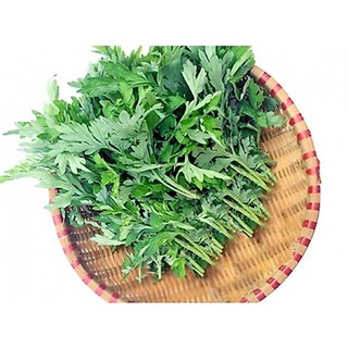 Ngải cứu tươi hữu cơ 500g ( HCM)