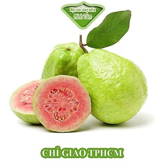 Ổi TRÂN CHÂU RUỘT ĐỎ [CHỈ GIAO HCM]