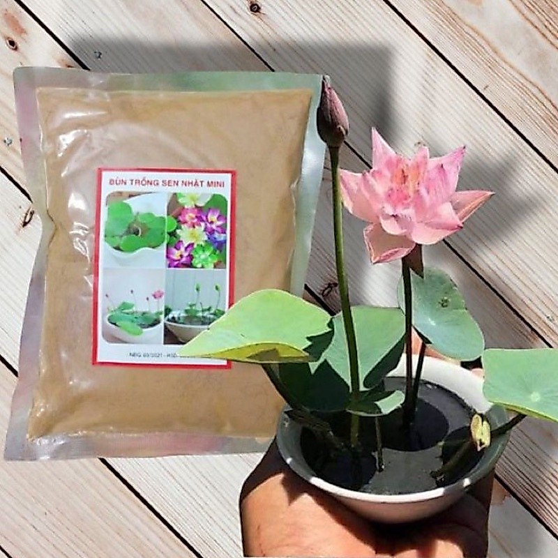 Đất bùn khô trồng Sen mini, súng mini (400g)