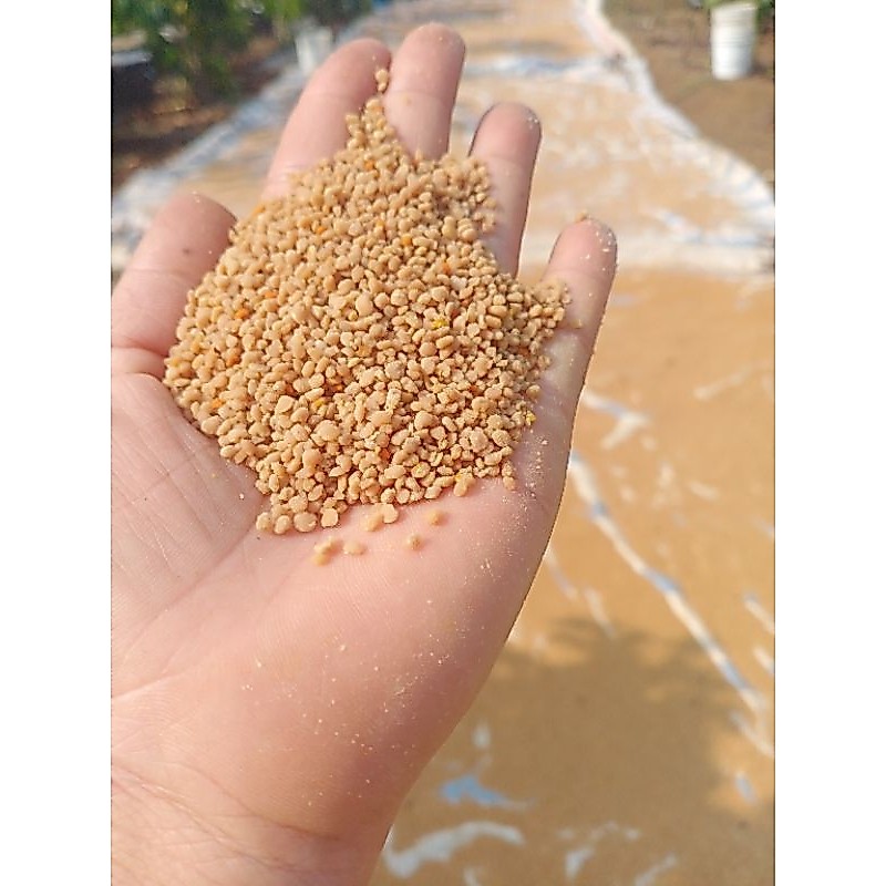 phấn cà phê sạch  để dưỡng ong .( 1kg phấn  của  trại  nuôi ong của gia đình .)