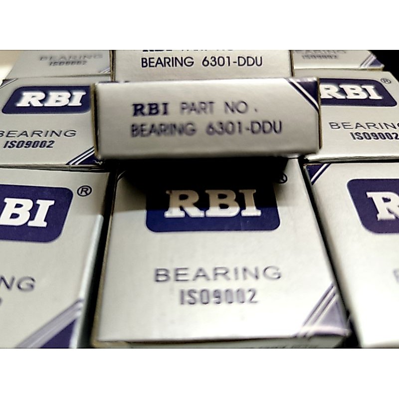 BẠC ĐẠN RBI 6000,6001,6002,6003,6004,6200,6201,6202,6203,6204,6205,6300,6301,6302,6303,6304 DDU