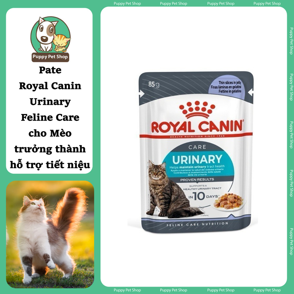 PATE ROYAL CANIN URINARY CHO MÈO BỊ THẬN 85g GRAVY JELLY