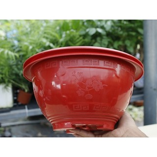 [ MAY ] COMBO 5 Chậu Nhựa Truyền Thống T28 - Trồng Mai , Cây Cảnh...