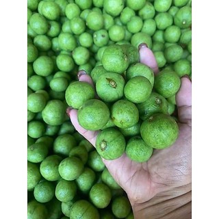 1kg Sấu tươi - sấu bánh tẻ Hà Nội (còn vỏ, chà vỏ, hút ép chân không)