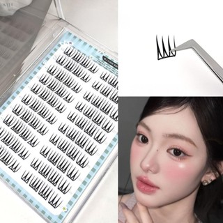  【Nhíp miễn phí  Lông mi giả hình chữ U loại hộp mềm 10 30 hàng phong cách nhóm nhạc nữ Hàn Quốc không cần keo 3.0 