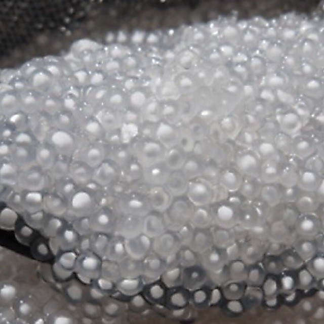 bột báng 1kg