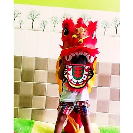 Đầu lân cho bé (không kèm đuôi), đầu lân trẻ em, lân mini, con lân múa
