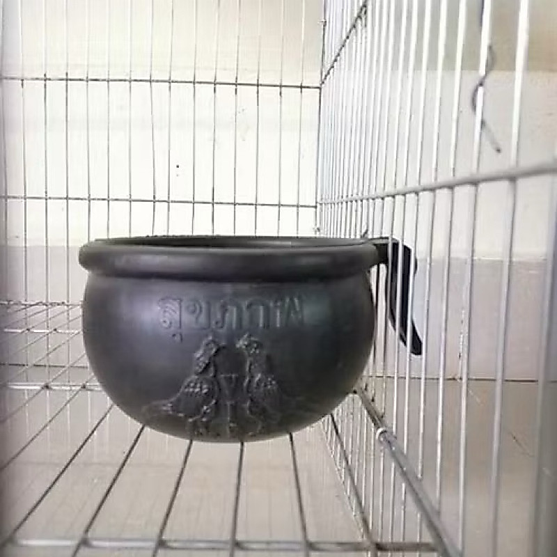 combo 10 gáo cao su cho gà ăn, gáo gà uống nước