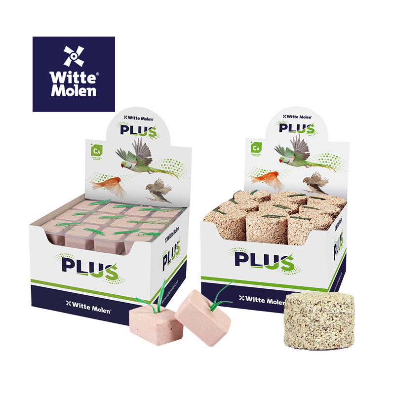 Witte Magic Wheel Cửa hàng ủy quyền Ba trường tiểu học Vẹt Hà Lan Witte Canxi Iodine Khối khoáng chấ