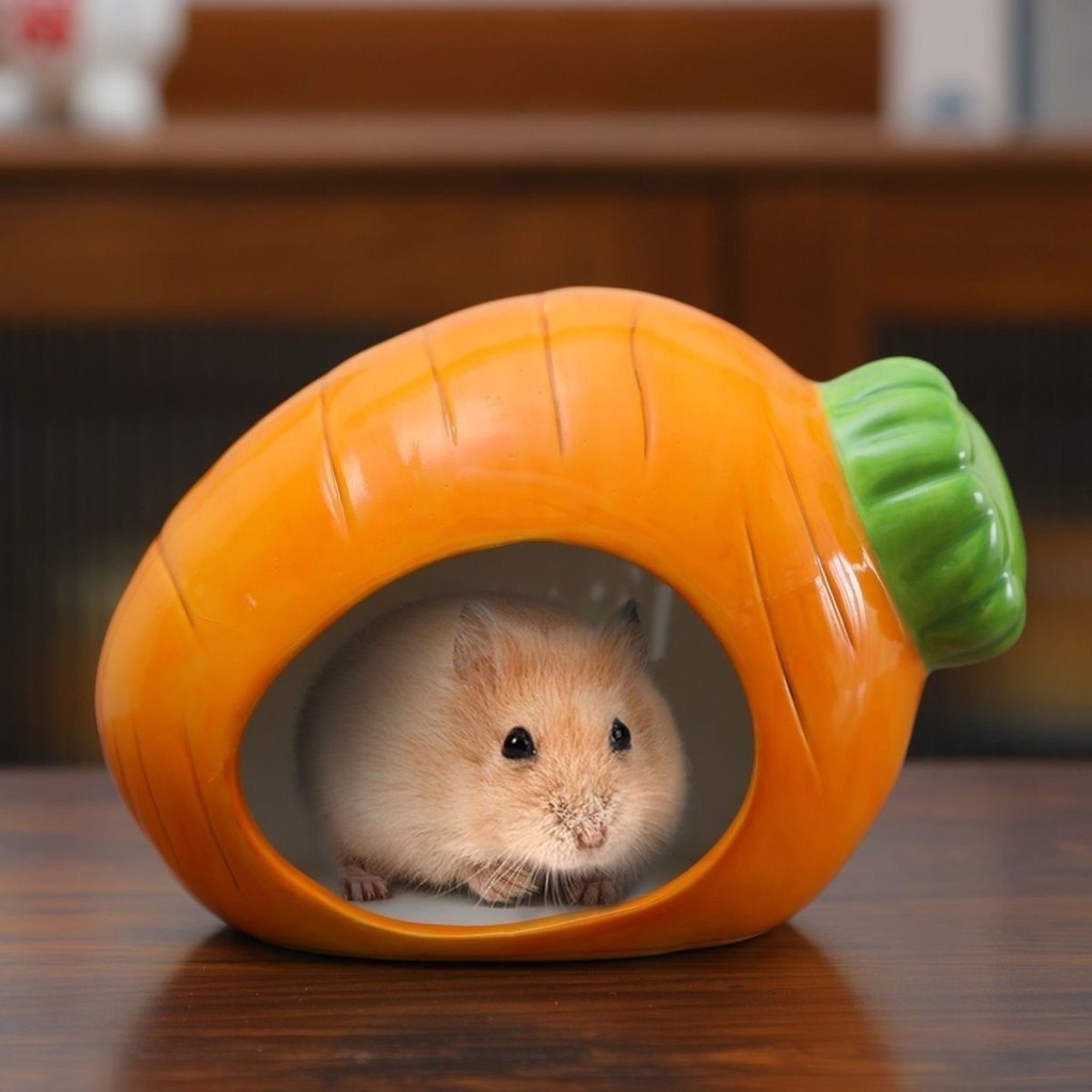 Tổ Hamster Gốm Dây Vàng Gấu Ẩn Tổ Igloo Lớn