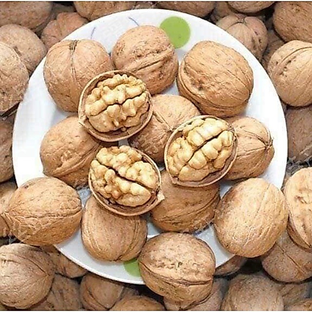 Quả Óc Chó Giấy vỏ siêu mỏng 1Kg
