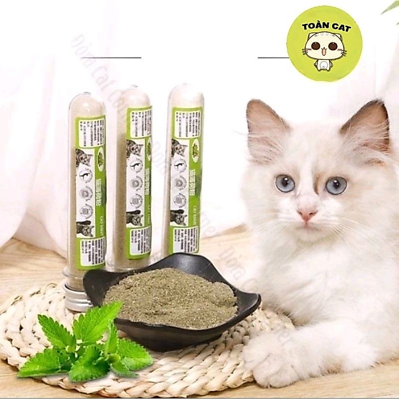 Ống cỏ bạc hà Cat Mint cho mèo