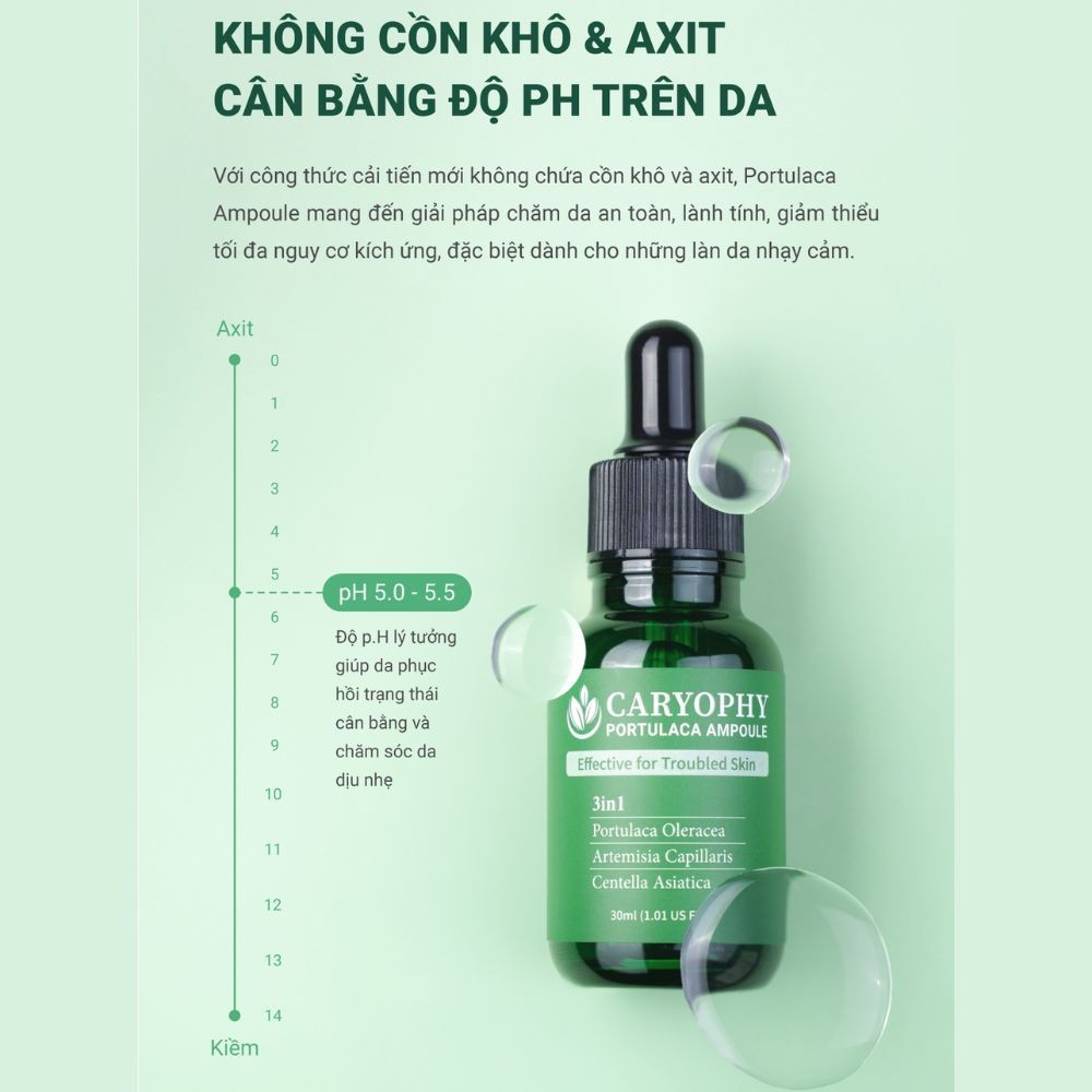 Ảnh 3 của Serum Caryophy Portulaca Ampoule giảm mụn, giảm thâm và phục hồi làn da
