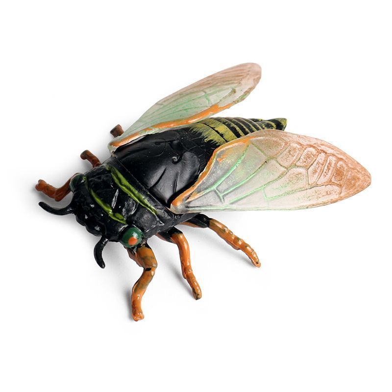 [Đồ chơi] Mô phỏng trẻ em Mô hình động vật tĩnh rắn Côn trùng hoang dã Cicada Biết Vàng Cicada Đồ tr