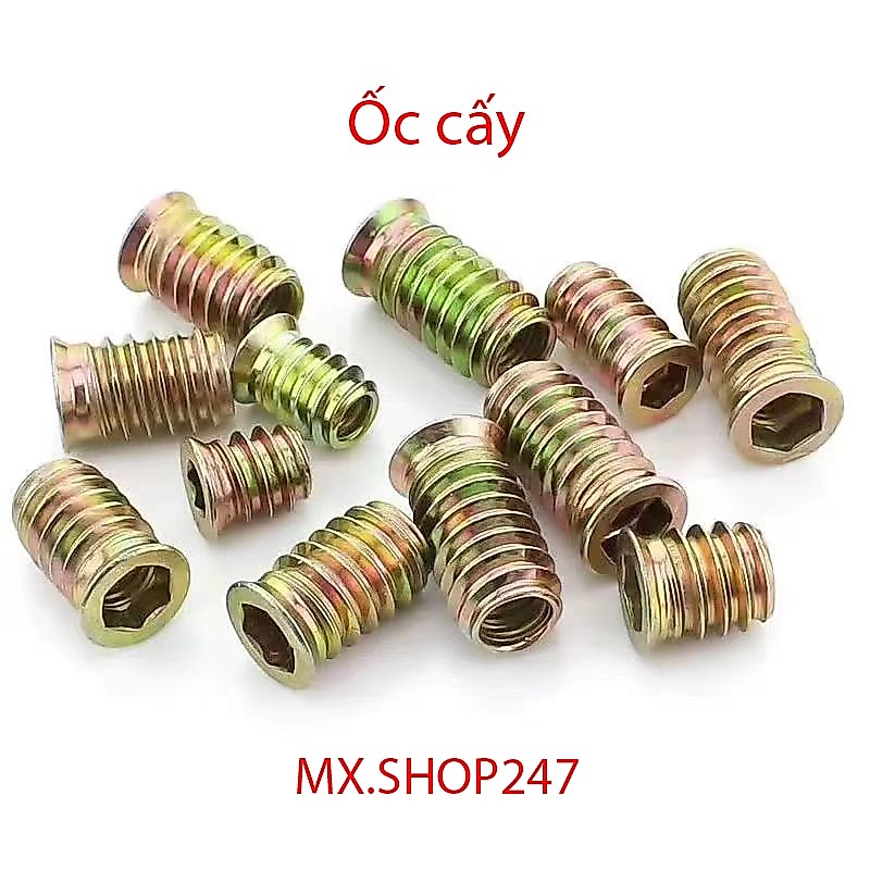 Sò cấy, ốc cấy gỗ, tán cấy gỗ M6 M8