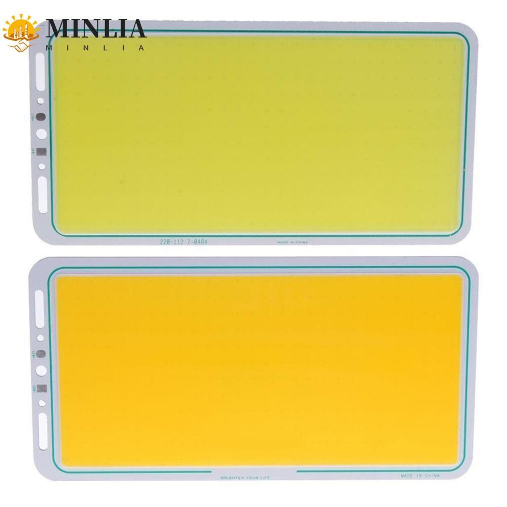 Đèn LED bảng điều khiển MINLIA COB, Dải Chip 100W 12V Đèn lũ cắm trại, Bóng đèn chiếu sáng siêu sáng