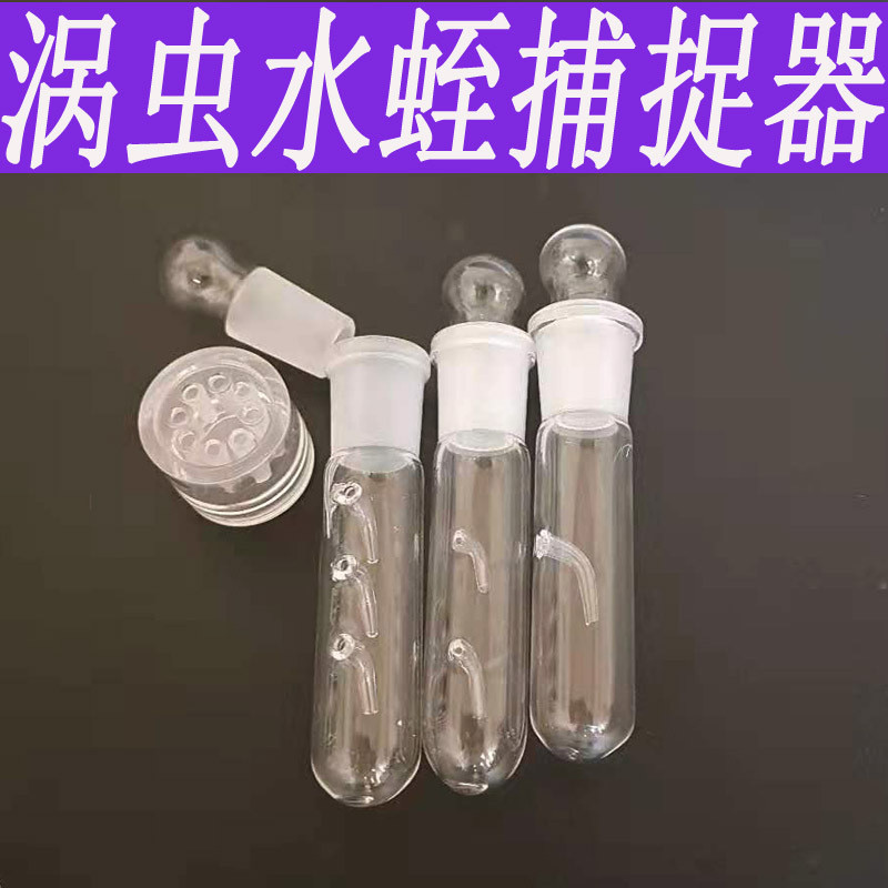 Bể cá Planaria Bẫy thủy tinh Bẫy sâu thủy tinh Bẫy sâu bể cá Planaria Bẫy thủy tinh Bẫy sâu Gsbh2025
