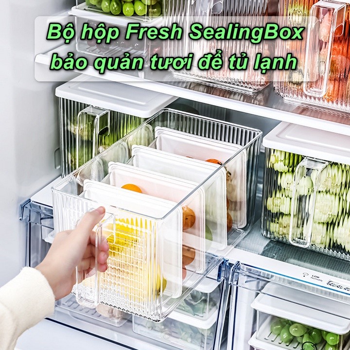 [HCM] - Bộ hộp Fresh SealingBox bảo quản tươi để tủ lạnh - Home and Garden