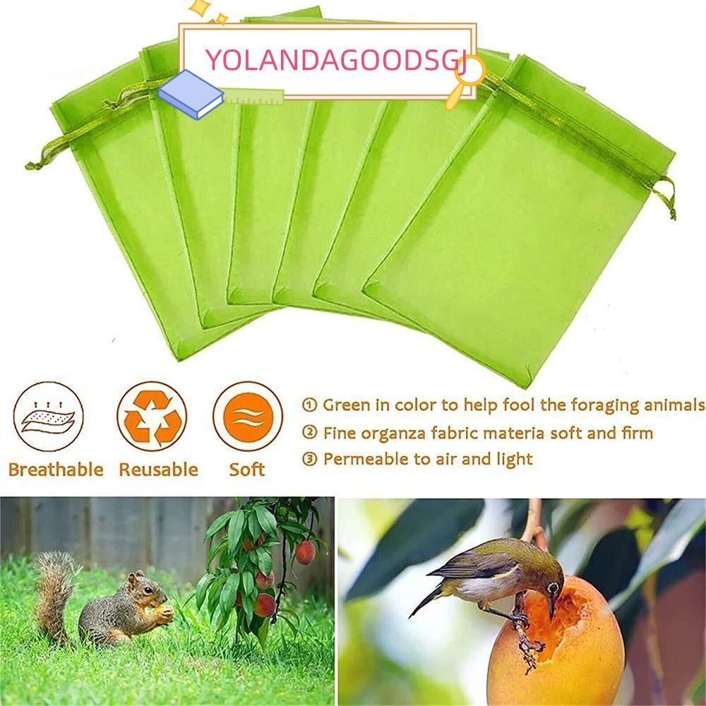 YOLANDAGOODSGJ 30 Chiếc Túi Trái Cây Chống Côn Trùng Nylon Planter Phát Triển Túi Bảo Vệ Trái Cây Dâ