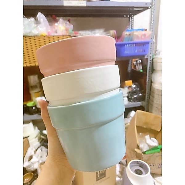 Chậu sứ trồng cây màu pastel