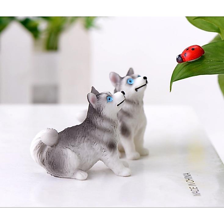 Mô Hình Chó Husky Làm Tiểu Cảnh - trang trí terrarium / decord mô hình, stellariva