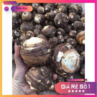 [BigC] Combo 3kg.5kg Khoai Sọ. Khoai Môn. Khoai TRứng củ Cái (to nhất khóm). Bở tung
