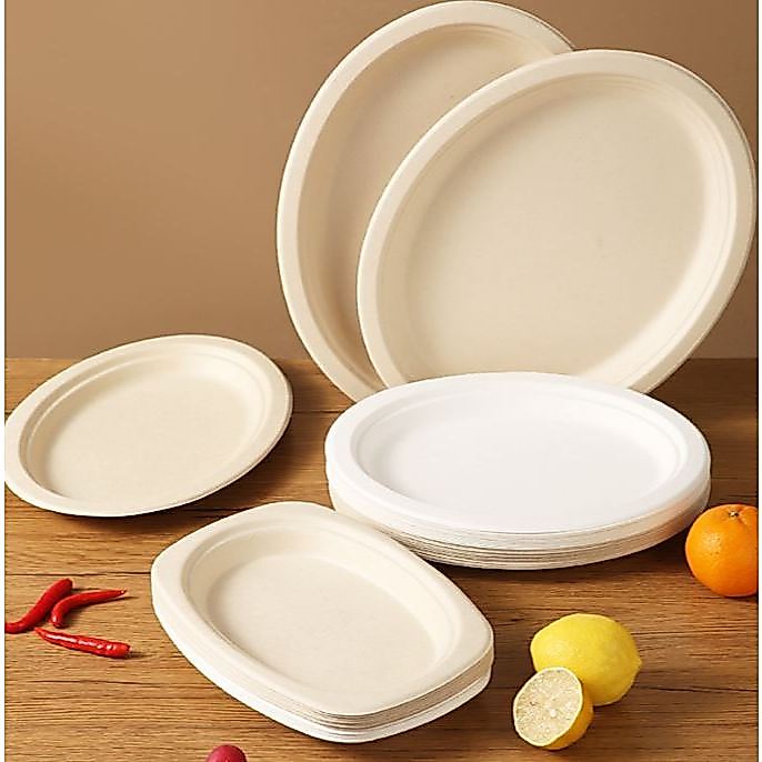 Set 10 Đĩa Bã Mía Oval Màu Nâu