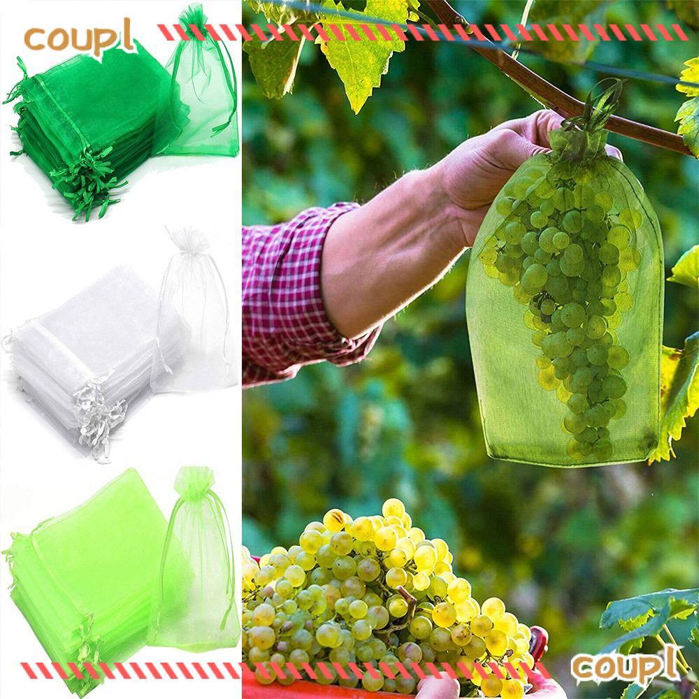 COUPL 30 Chiếc Túi Trái Cây Kiểm Soát Dịch Hại Dụng Cụ Làm Vườn Người Trồng Túi Bảo Vệ Thực Vật Hoa 