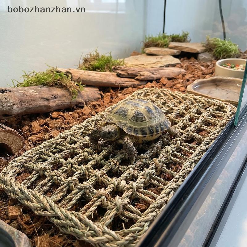 [bobozhanzhan.vn] Giường cỏ Hammo bò sát Ghế leo núi thoáng khí cho Iguana Thằn lằn Snakefortable Re