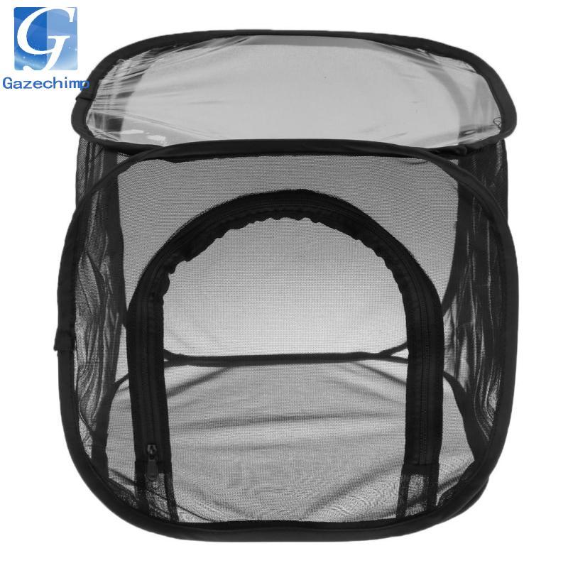 Habitat Monarch Bướm Lưới Lồng Terrarium -up Cao 12 "
