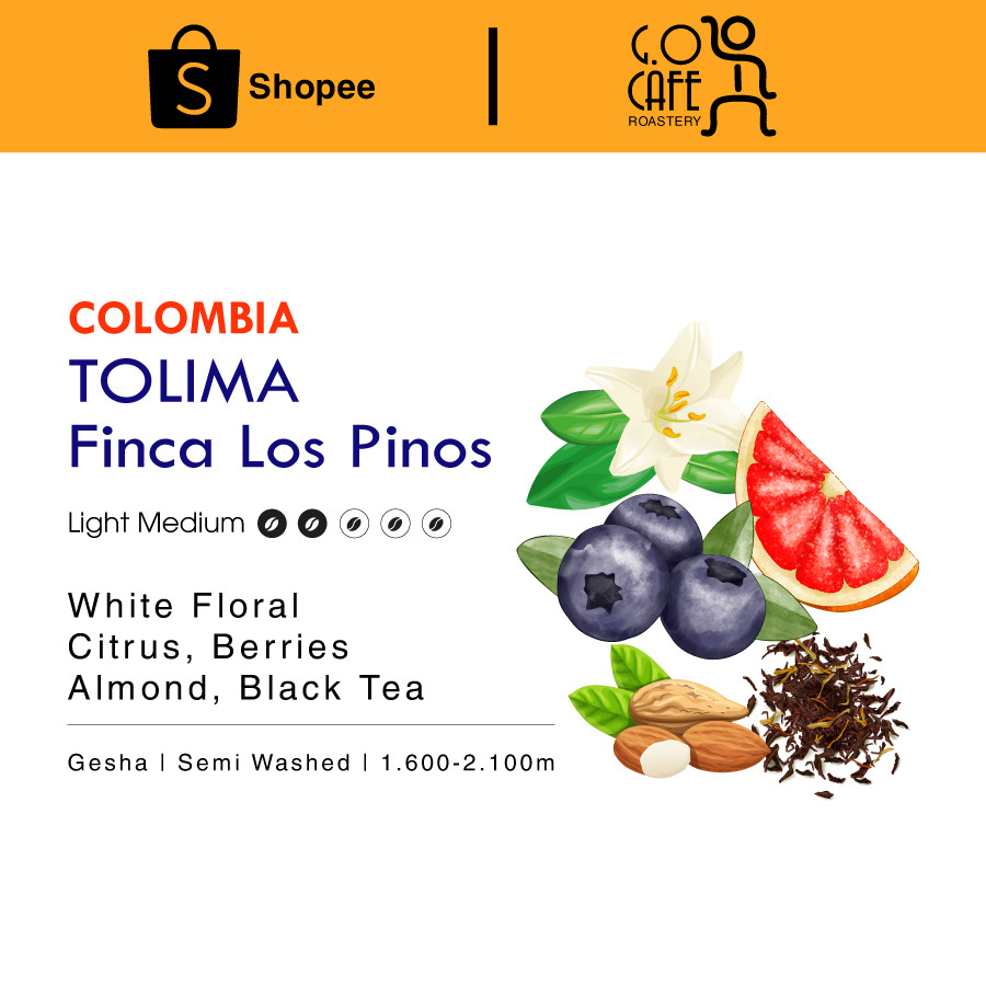 Cà phê đặc sản Colombia Tolima Finca Los Pinos Gesha Semi Washed - G.O Cafe Roastery