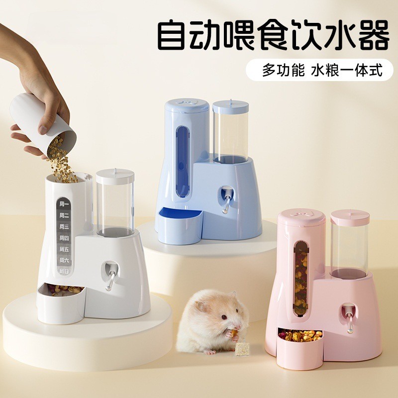 Hamster Golden Silk Bear Feeding Water Feeding One