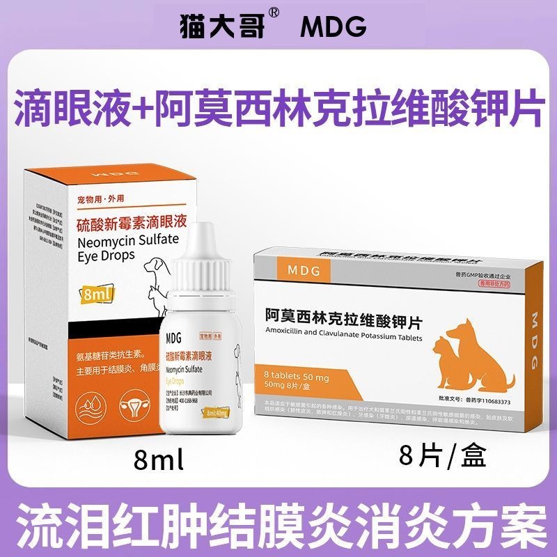 Thuốc nhỏ giọt Cat neomycin sulfate, viêm mắt chó, nước mắt thú cưng s