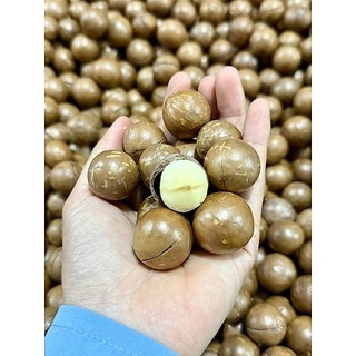 Hạt Macca Úc Nứt Vỏ MONUTS thơm giòn béo