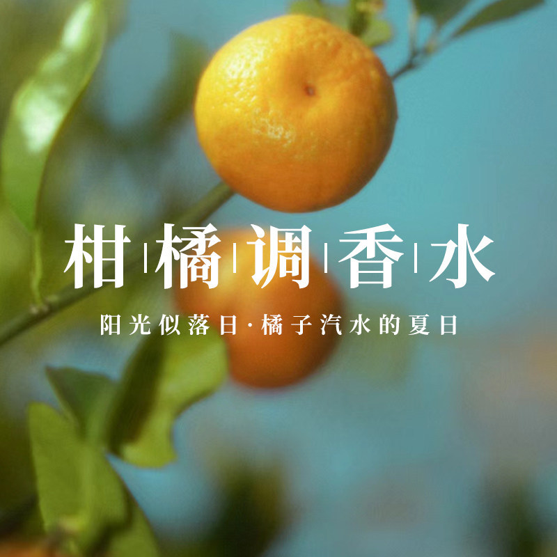 2026 Sản phẩm mới {Nile Garden / Orange Colorful Starlight} Người nổi tiếng Orange Light Citrus Basi