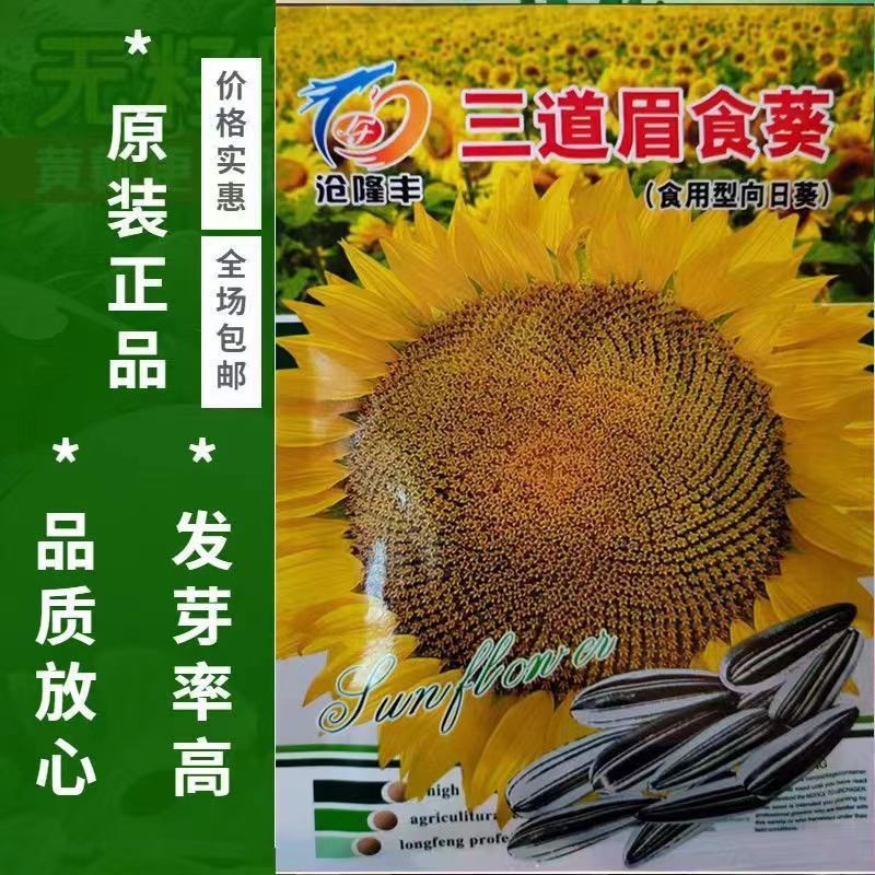 Sandai Lông Mày Thực Phẩm Hạt Hướng Dương Hạt Hướng Dương Hạt Lớn Hạt Hướng Dương Ăn Được Hạt Hướng 