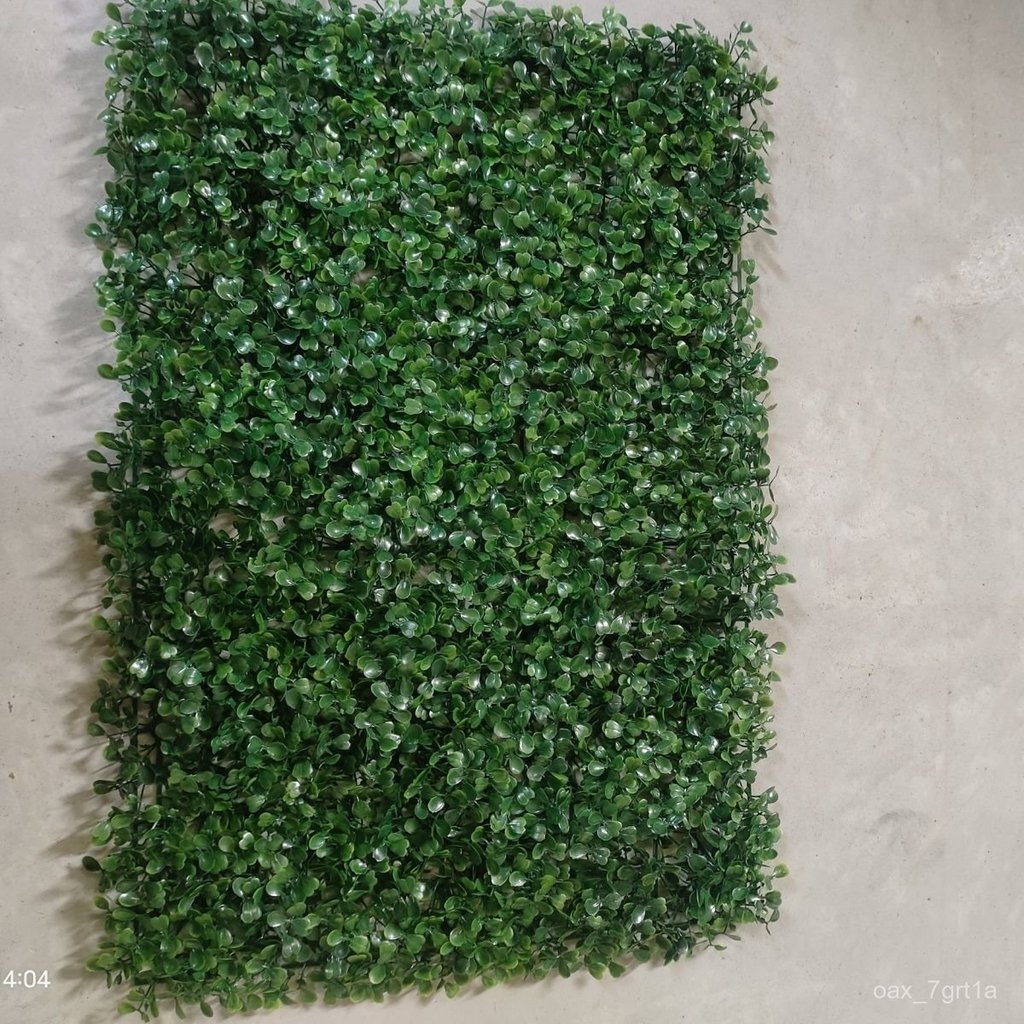 Thảm cỏ giả lá khuynh diệp nhân tạo chống nước trang trí tường nhà cửa ban công xanh mát bền đẹp gia