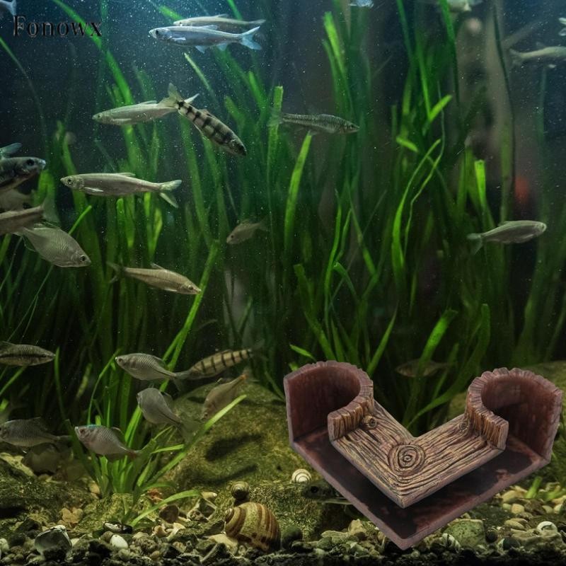 Đường hầm ngầm bể cá Đường hầm bể cá Di động Lỗ đôi Xem Kuhli