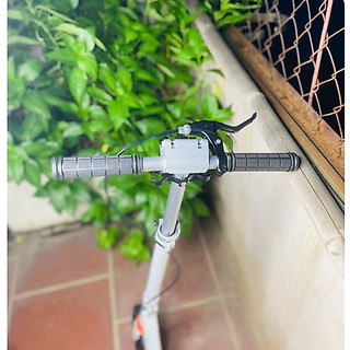 Xe Trượt Scooter ALS  A5D [ Hàng Nhập Khẩu Chính Hãng ]