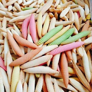 bánh sùng tuổi thơ