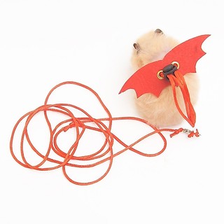 Dây dắt hamster, thỏ, Sóc , đuôi mập, chuột lang