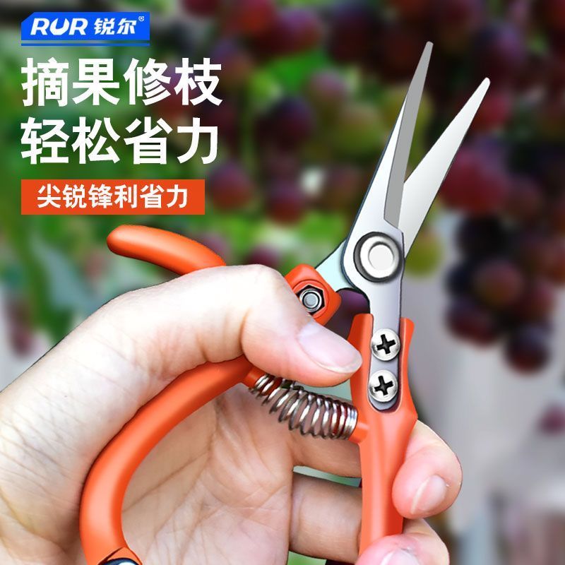 Kéo Chọn Đặc Biệt Cắt Hoa Cắt Tỉa Dụng Cụ Đặc Biệt Mạnh Mẽ Hộ Gia Đình Willing Kéo Vườn