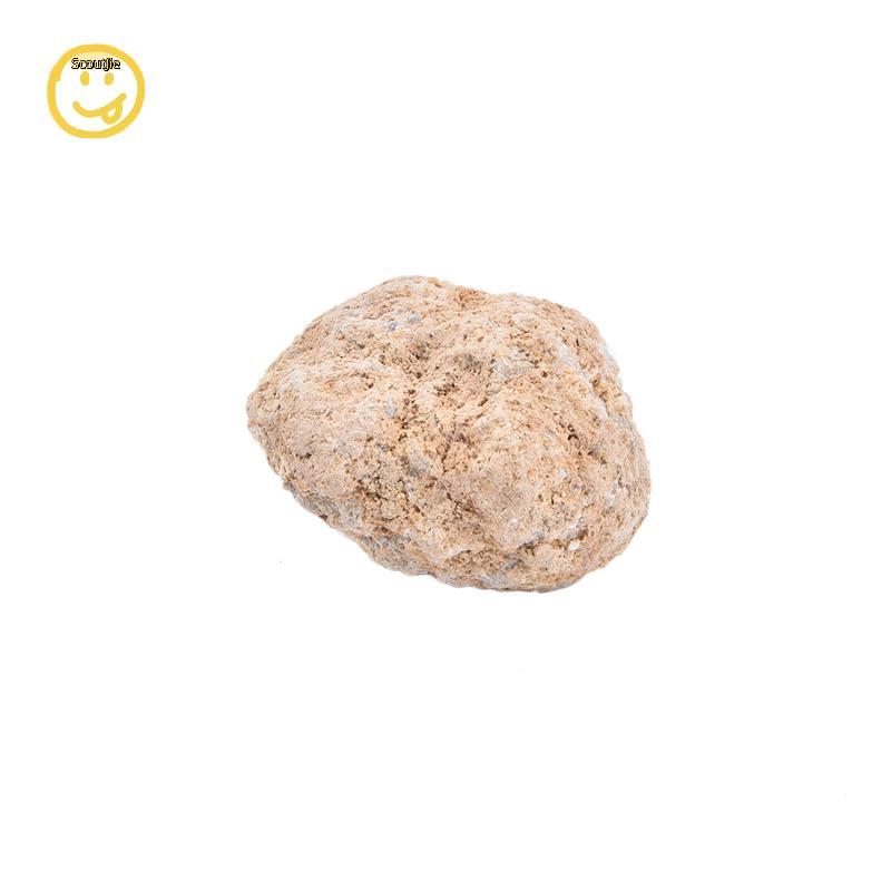 ScoutJie Geode Mã Não Pha Lê Khoáng Tinh Thể Trắng Tự Nhiên Khoang Đá Không Đều TH