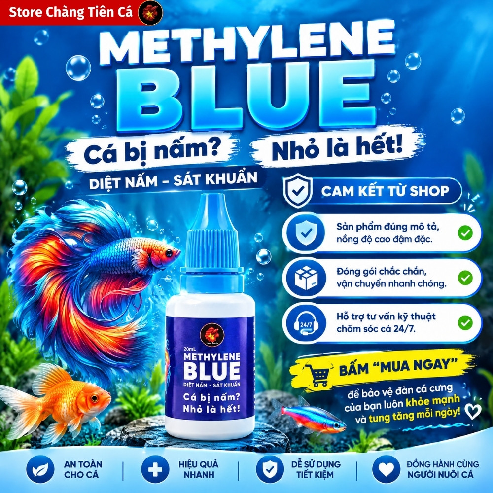 Xanh Methylene Blue Chuyên Xử Lý Các Vấn Đề Ngoài Da Cho Cá Cảnh